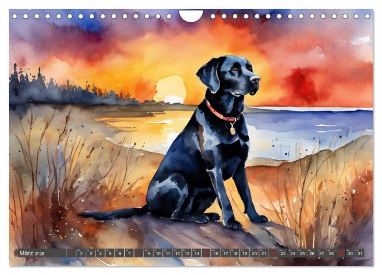 Produktbild: Voller Kraft und Energie - Labrador-Retriever (Wandkalender 2026 DIN A4 quer), CALVENDO Monatskalender