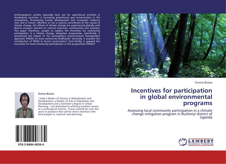 Produktbild: Incentives for participation in global environmental programs