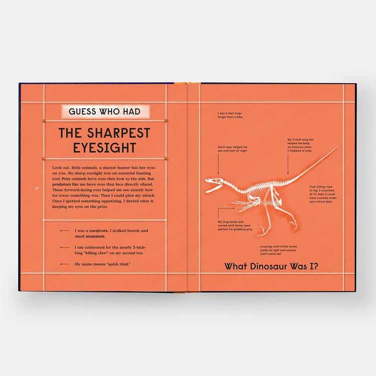 Produktbild: Book of Dinosaurs