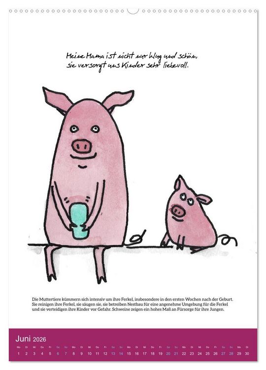 Produktbild: Schweinekalender - Alles was du &uuml;ber Schweine wissen wolltest! (hochwertiger Premium Wandkalender 2026 DIN A2 hoch), Kunstdruck in Hochglanz
