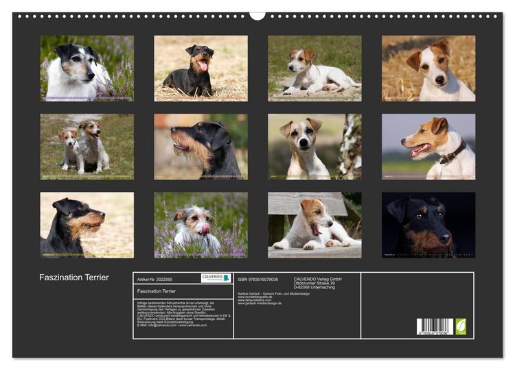Produktbild: Faszination Terrier (Wandkalender 2026 DIN A2 quer), CALVENDO Monatskalender