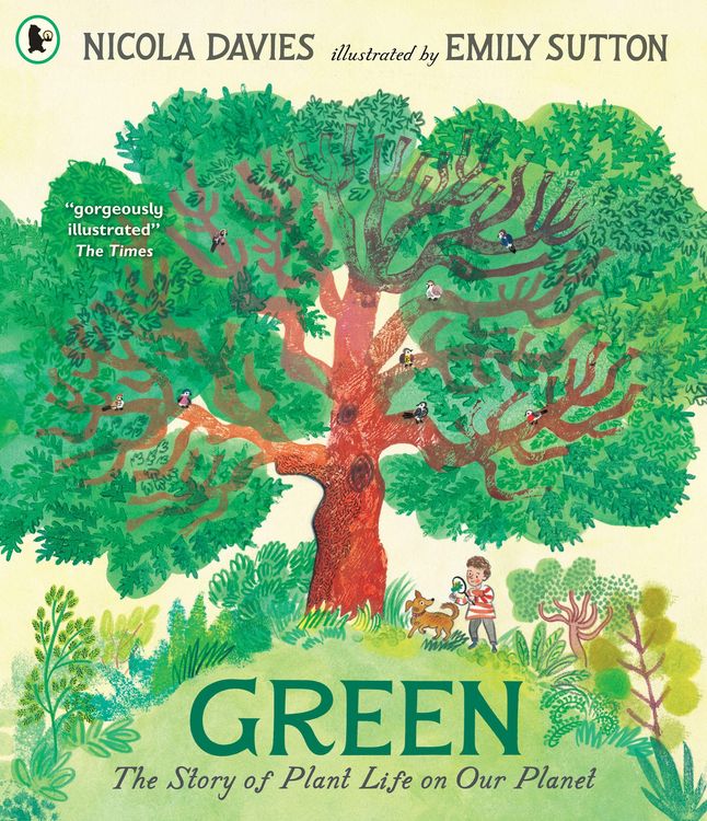 Produktbild: Green: The Story of Plant Life on Our Planet