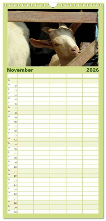 Produktbild: Familienplaner 2026 - Wer zickt denn da? Mit Ziegen durchs Jahr mit 5 Spalten (Wandkalender, 21 x 45 cm) CALVENDO