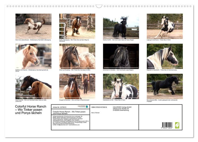 Produktbild: Colorful Horse Ranch &ndash; Wo Tinker posen und Ponys l&auml;cheln (Wandkalender 2026 DIN A2 quer), CALVENDO Monatskalender