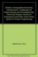 Produktbild: Modern Deregulated Electricity Infrastructure