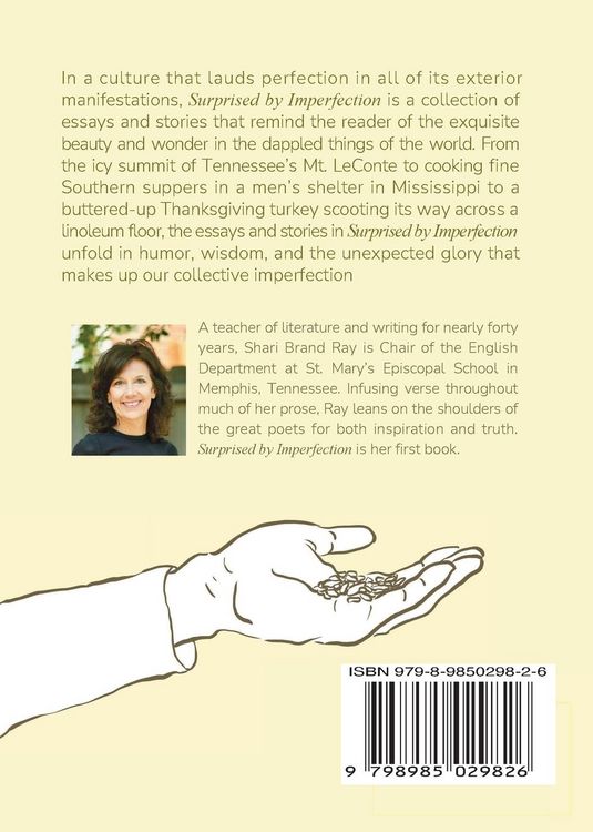 Produktbild: Surprised by Imperfection
