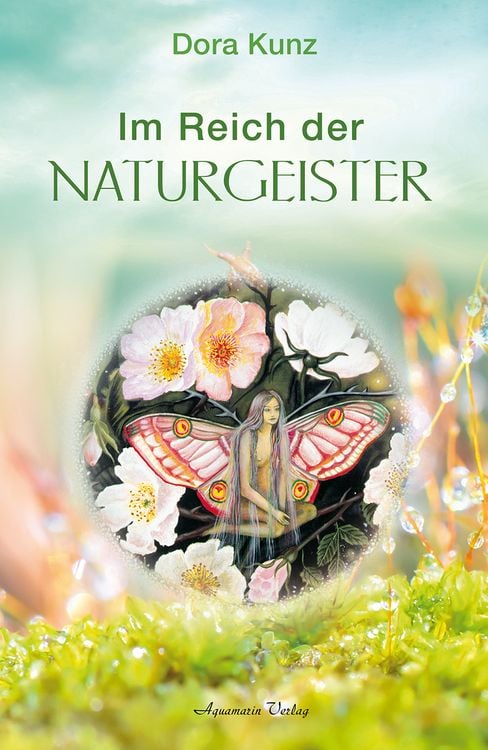 Produktbild: Im Reich der Naturgeister