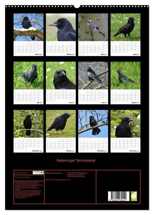 Produktbild: Rabenv&ouml;gel Terminplaner (hochwertiger Premium Wandkalender 2026 DIN A2 hoch), Kunstdruck in Hochglanz