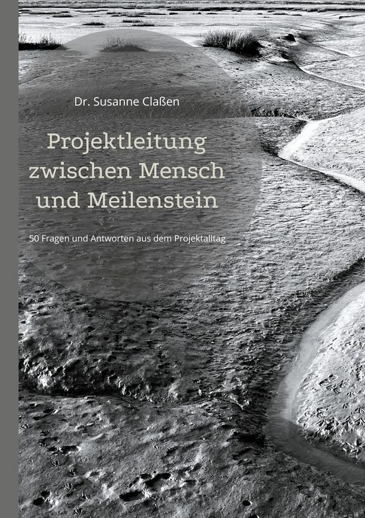 Produktbild: Projektleitung zwischen Mensch und Meilenstein