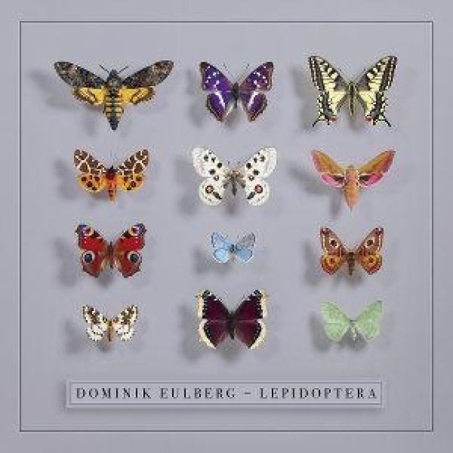 Produktbild: Lepidoptera