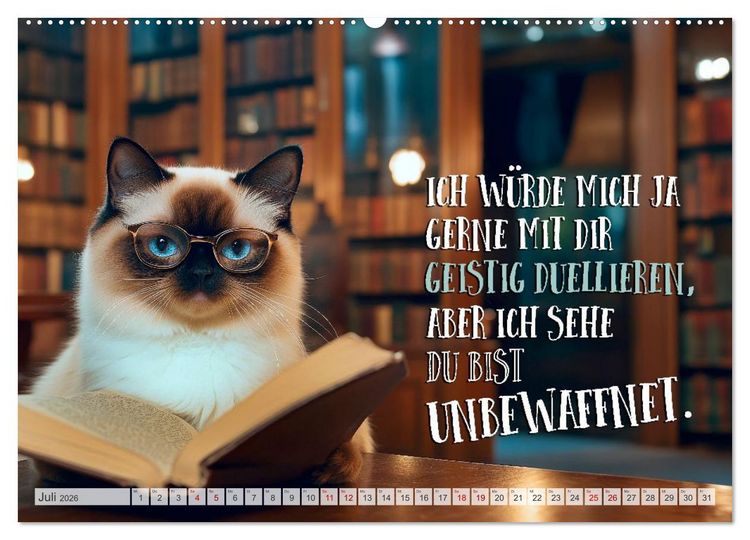 Produktbild: Katzenlogik - Wenn Blicke miauen k&ouml;nnten (hochwertiger Premium Wandkalender 2026 DIN A2 quer), Kunstdruck in Hochglanz