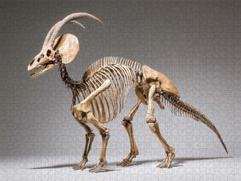 Produktbild: CALVENDO Puzzle Dinosaurier Parasaurolophus-Skelett mit markantem Kopfkamm | 1000 Teile Lege-Gr&ouml;&szlig;e 64x48cm Foto-Puzzle f&uuml;r gl&uuml;ckliche Stunden