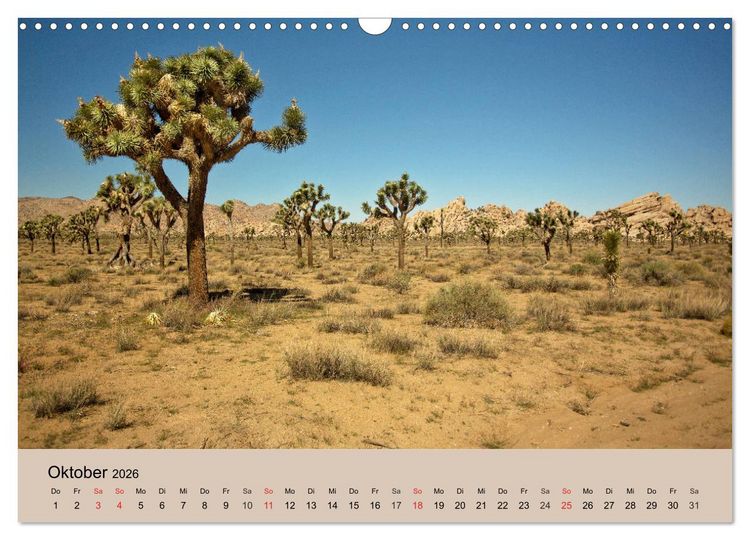 Produktbild: Faszination USA - traumhafter S&uuml;dwesten (Wandkalender 2026 DIN A3 quer), CALVENDO Monatskalender