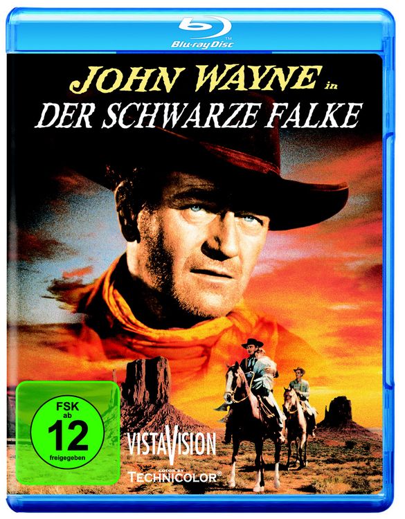 Produktbild: Der schwarze Falke