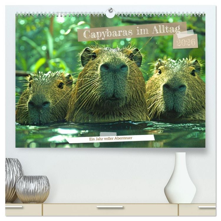 Produktbild: Capybaras im Alltag - Ein Jahr voller Abenteuer (hochwertiger Premium Wandkalender 2026 DIN A2 quer), Kunstdruck in Hochglanz