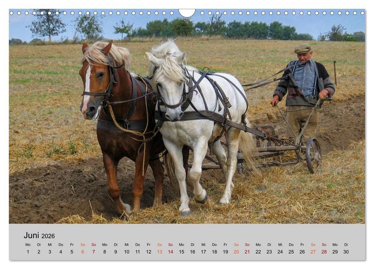 Produktbild: Joachimsthal am Rand der Schorfheide (Wandkalender 2026 DIN A3 quer), CALVENDO Monatskalender
