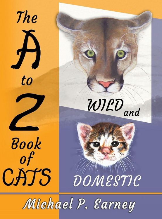 Produktbild: The A to Z Book of Cats