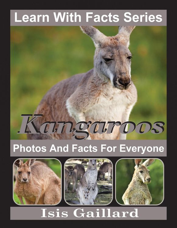 Produktbild: Kangaroos Photos and Facts for Everyone (Learn With Facts Series, #22)