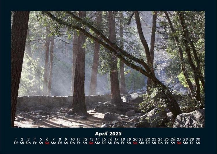Produktbild: Waldzauber 2025 Fotokalender DIN A4