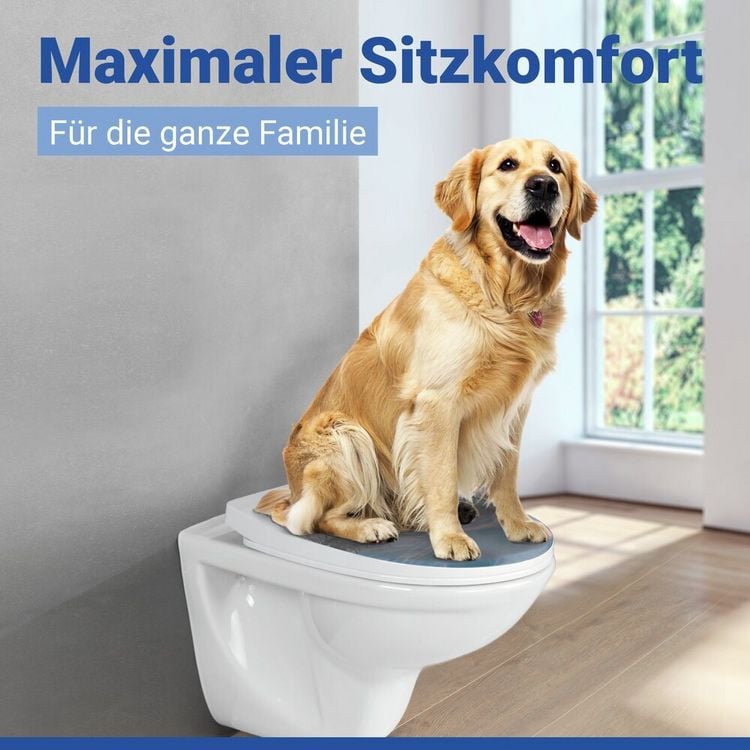 Produktbild: WC Sitz Mod. Baltic, Toilettendeckel mit Absenkautomatik und Motiv