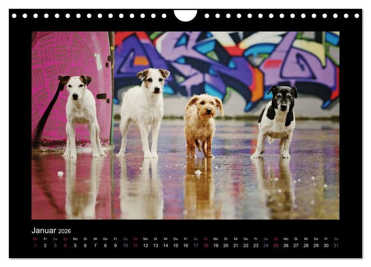 Produktbild: Die Parsons (Wandkalender 2026 DIN A4 quer), CALVENDO Monatskalender