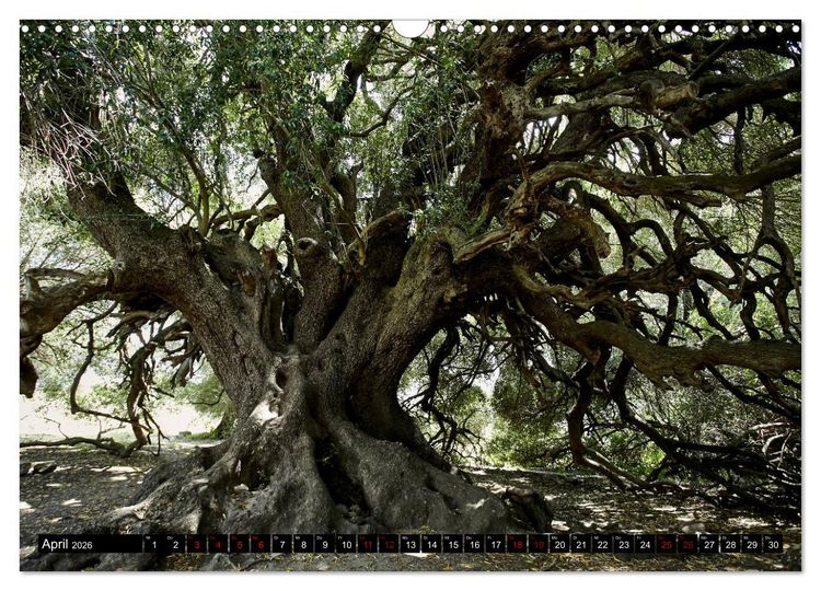 Produktbild: Sardinien - Der Norden (Wandkalender 2026 DIN A3 quer), CALVENDO Monatskalender