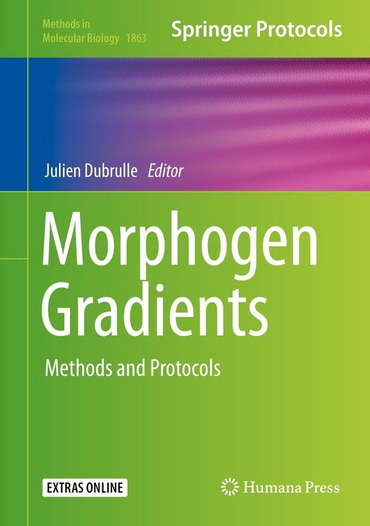 Produktbild: Morphogen Gradients