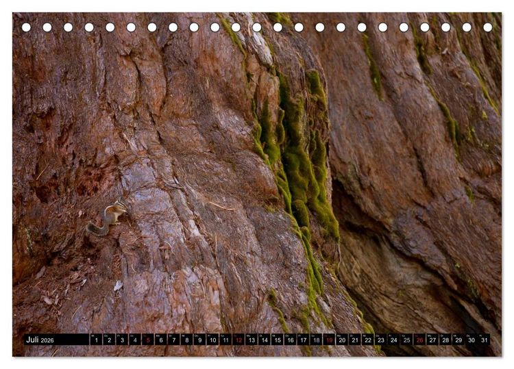 Produktbild: Yosemite - USA (Tischkalender 2026 DIN A5 quer), CALVENDO Monatskalender