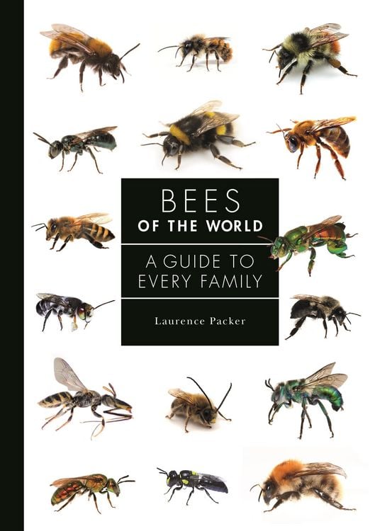 Produktbild: Bees of the World
