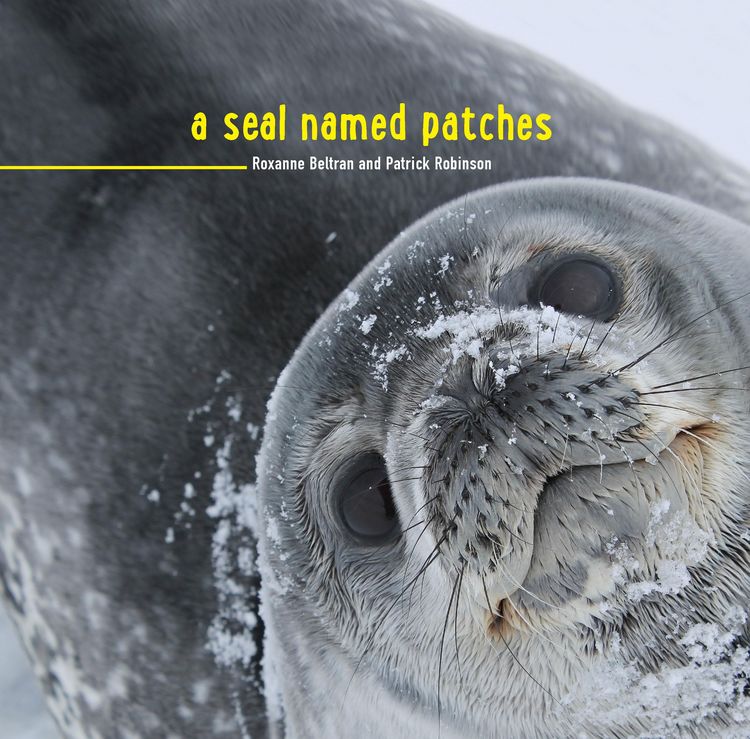 Produktbild: Seal Named Patches