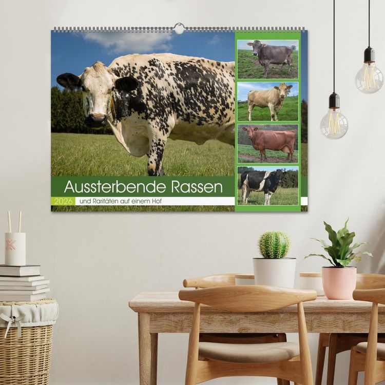 Produktbild: Aussterbende Rassen und Rarit&auml;ten (Wandkalender 2026 DIN A2 quer), CALVENDO Monatskalender