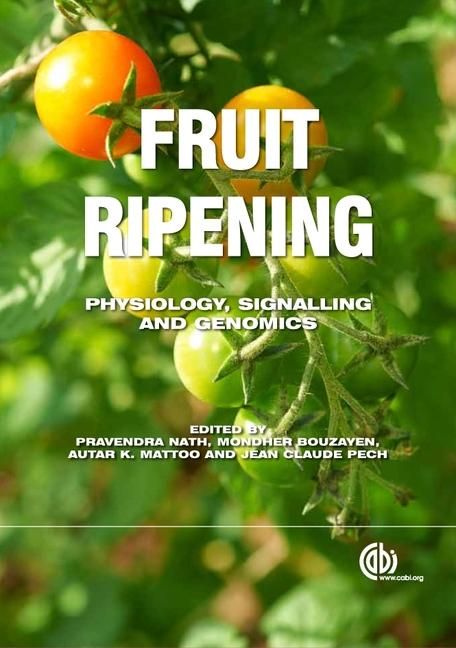 Produktbild: Fruit Ripening