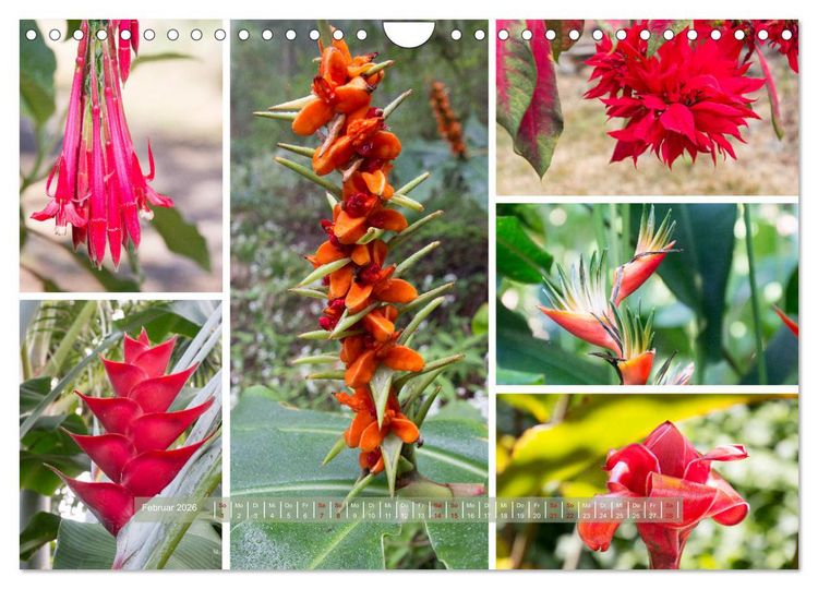 Produktbild: La R&eacute;union - Bergweh &reg; (Wandkalender 2026 DIN A4 quer), CALVENDO Monatskalender