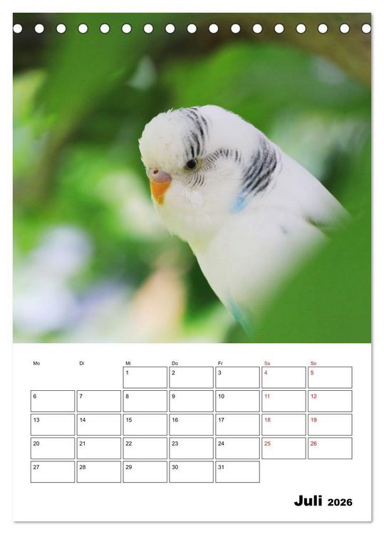 Produktbild: Wellensittichkalender Jubil&auml;umsedition - 10 Jahre Wellensittichkalender! (Tischkalender 2026 DIN A5 hoch), CALVENDO Monatskalender