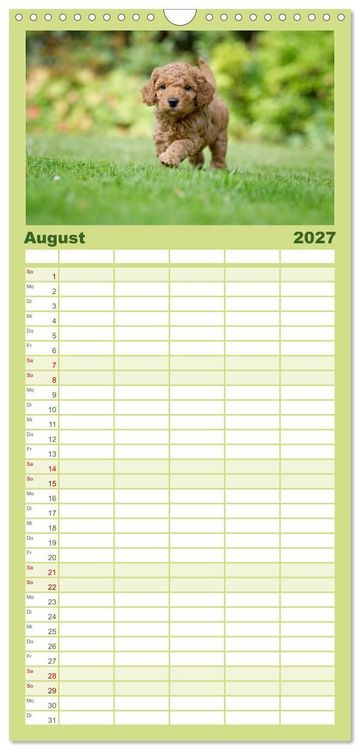 Produktbild: Familienplaner 2027 - Pudel mit 5 Spalten (Wandkalender, 21 x 45 cm) CALVENDO