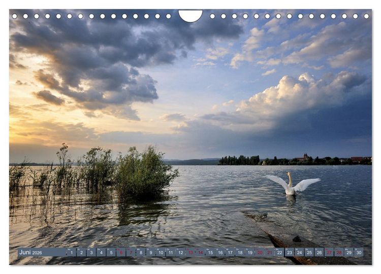 Produktbild: Zauberhafter Westlicher Bodensee (Wandkalender 2026 DIN A4 quer), CALVENDO Monatskalender