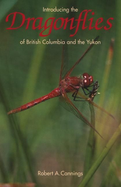 Produktbild: Introducing the Dragonflies of British Columbia and the Yukon