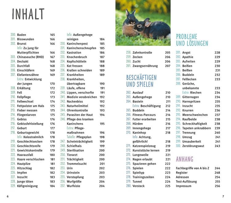Produktbild: 300 Fragen zum Zwergkaninchen