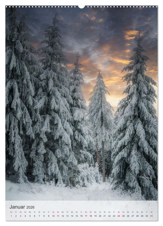 Produktbild: Winter Spaziergang (Wandkalender 2026 DIN A2 hoch), CALVENDO Monatskalender