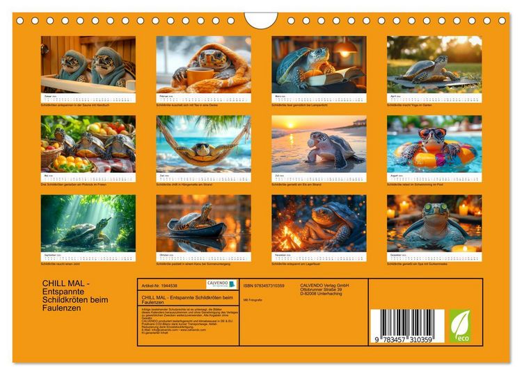 Produktbild: CHILL MAL - Entspannte Schildkr&ouml;ten beim Faulenzen (Wandkalender 2026 DIN A4 quer), CALVENDO Monatskalender