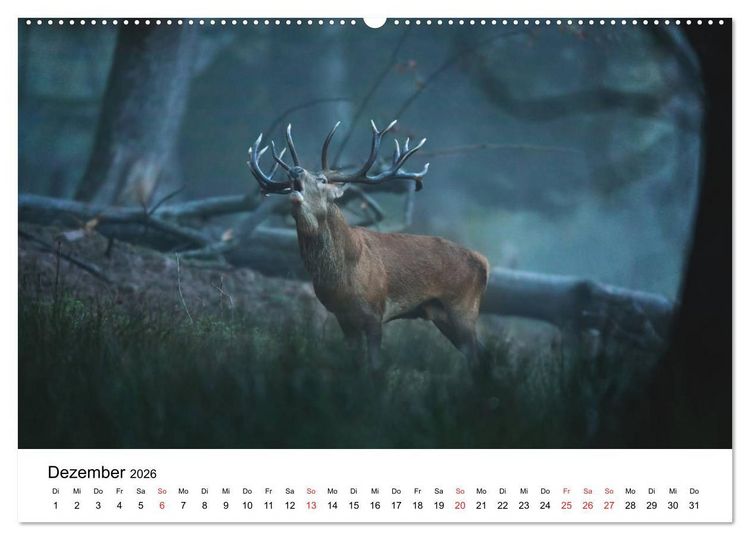 Produktbild: Unsere heimische Tierwelt (Wandkalender 2026 DIN A2 quer), CALVENDO Monatskalender