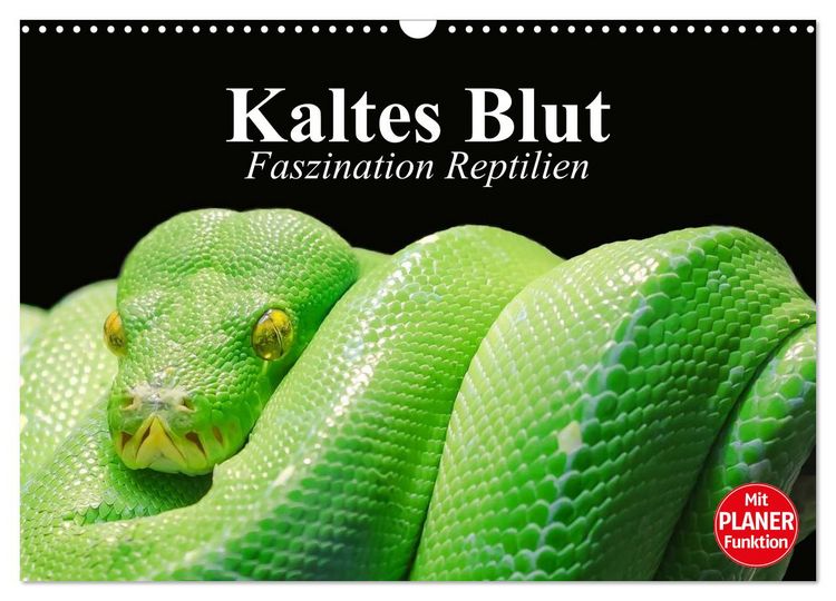 Produktbild: Kaltes Blut. Faszination Reptilien (Wandkalender 2026 DIN A3 quer), CALVENDO Monatskalender