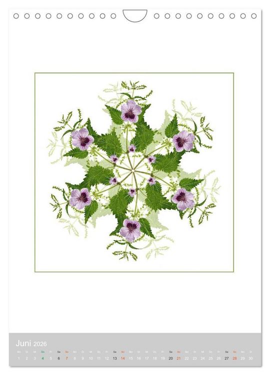 Produktbild: Pflanzen - Mandalas aus Bl&uuml;ten und Bl&auml;ttern (Wandkalender 2026 DIN A4 hoch), CALVENDO Monatskalender