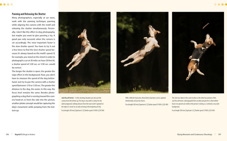 Produktbild: Dog Photography - Shooting with Bow "Wow" Effect