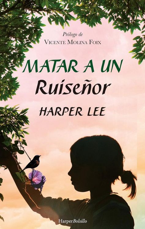 Produktbild: Matar a un ruise&ntilde;or