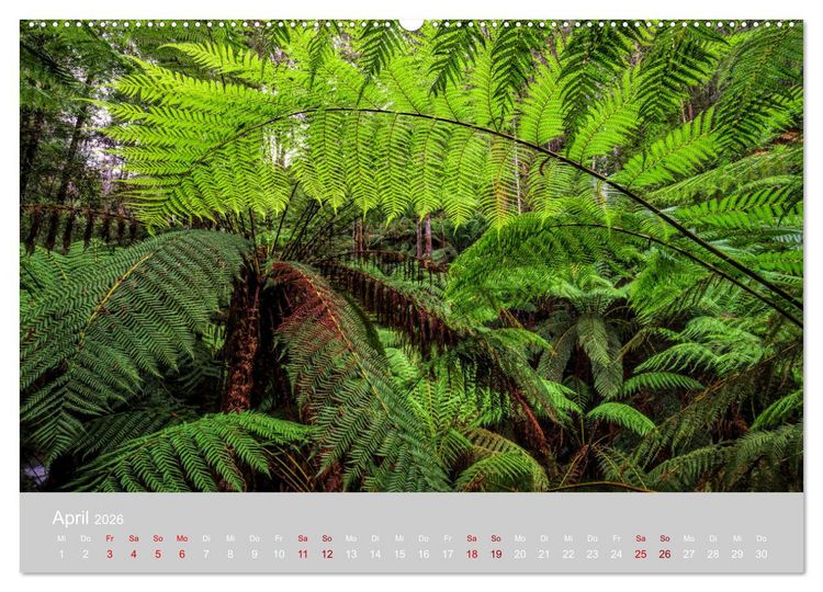 Produktbild: Tasmanien - Juwel am anderen Ende der Welt (hochwertiger Premium Wandkalender 2026 DIN A2 quer), Kunstdruck in Hochglanz