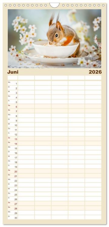 Produktbild: Familienplaner 2026 - Lustige Eichh&ouml;rnchen mit 5 Spalten (Wandkalender, 21 x 45 cm) CALVENDO