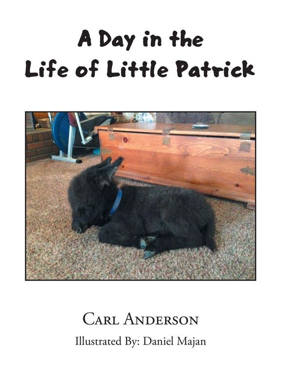Produktbild: A Day in the Life of Little Patrick
