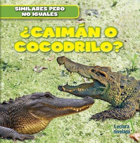 Produktbild: &iquest;Caim&aacute;n O Cocodrilo? (Alligator or Crocodile?)