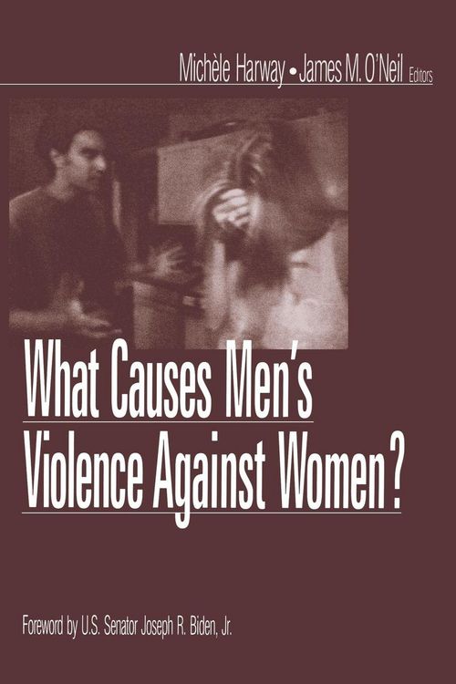 Produktbild: What Causes Men's Violence Against Women?